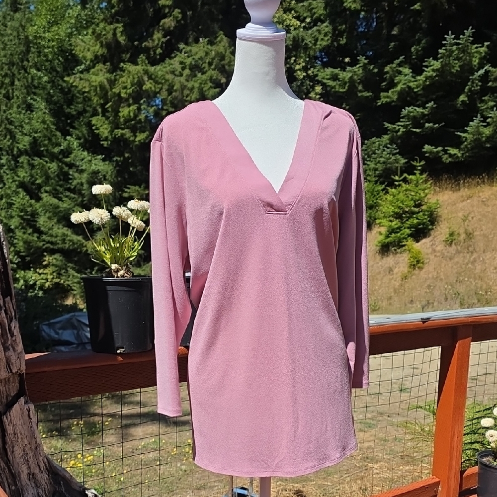 Banana Republic Soft Pink V-Neck Blouse (T-16)